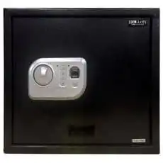 Hollon Drawer/Laptop Safes