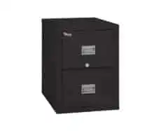FireKing 2P1831-C 2 Drawer Patriot Vertical File Cabinet (Letter)
